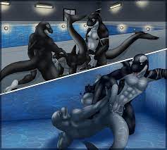 Gay dolphin porn - bestink.pics