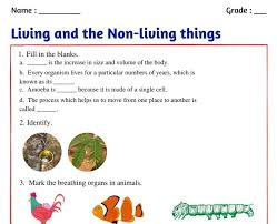 Free Worksheets For Cbse Science Witknowlearn