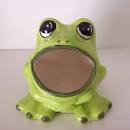 Images for frog sponge holder