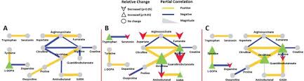 Neurotransmitter Imbalance In The Brain And Alzheimer S Disease Pathology Ios Press