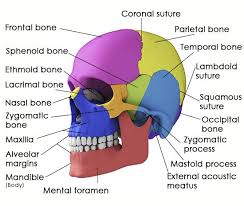 Pin On Nursing