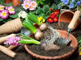 Samstag von 10:00h bis 18:00h) service. Gartenxxl De Ergebnisse Von Tests Analysen Umfragen Dtgv