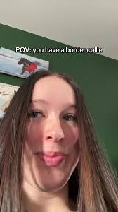 Understanding a Border Collie's Unique Personality