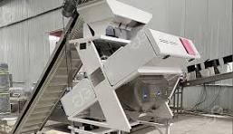 Galic Clove Color Sorting Machine For Sale