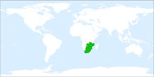 Image result for Secamone alpini