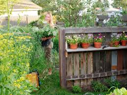 Calgary's population increased in 2019 to 1,285,711, up 18,367 from the previous year — primarily due to migration. Calgary Gardening Tips