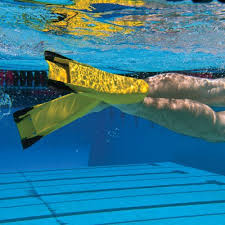 Finis Z2 Gold Zoomers Fins G Buy Online See Prices