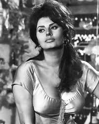 Contact me if there's a problem. Sophia Loren Maveric Universe Wiki Fandom