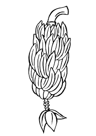 Maybe you would like to learn more about one of these? Parentune Free Printable Banana Bunch Coloring Picture Assignment Sheets Pictures For Child