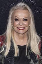 Gracepoint Summary, Latest News, Trailer, Season List, Cast, Where to Watch  and More