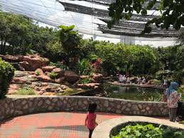 Koleksi burung lumayan banyak dibandingkan taman burung taman mini indonesia. Taman Burung Kuala Lumpur Taman Tropika Di Pusat Bandaraya Lokasi Percutian