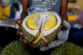 Get the dates and details on the 2017 penang durian season so you can plan the perfect durian trip. Fruit S Pungent Smell Mistaken For Gas Leak Prompts Panic