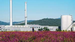 Autumn Destination Autumn Photoshot Beeblossom Cosmos Flower Festival Globe Amarath Gyeonggi Korea Must Visit Destination Lindheimer Nari Park Provenc