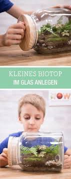 Diy Anleitung Kleines Biotop Im Glas Anlegen Via Dawanda Com Wissenschaft Fur Kinder Ideen Zum Selbermachen Fur Kinder Selbermachen