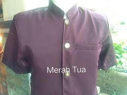 Adorned with emblematic species of the arabian peninsula, this adventure brings the historic nomadic. Jual Baju Safari Warna Di Lapak Bali Sari Busana Bukalapak