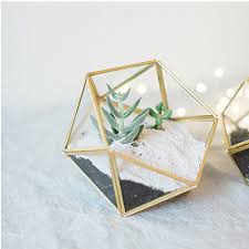 (you can find em at garden centers but let them dry then place back in the terrarium! Top Terrariums For Air Plants Different Types Of Planters