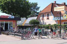 Fischland Darss Zingst Urlaub An Der Ostsee Ferienwohnung Im Ostseebad Prerow Urlaub In Unserer Ferienwohnung Buchentraum 1 4 Fischland Darss Zingst Ostseeurlaub Ferienwohnung Ferienwohnung Prerow