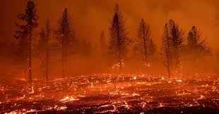 Se llama cambio climático a la variación global del clima de la tierra. El Cambio Climatico Empeorara Los Desastres Naturales En La Siguiente Decada Sus Consecuencias Son Irreversibles Alerta