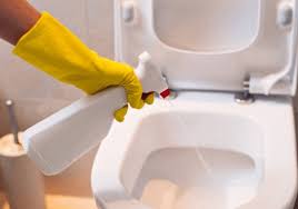 Comment Enlever La Mauvaise Odeur Salle De Bain Tout Pratique