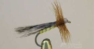 Tricoptero De Cuerpo Amarillo Fly Fishing Fly Tying Fly Patterns
