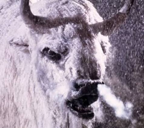 How about this movie "the Shadow of Chikara. (1977) filmed in the fall of  1977 on the Buffalo River