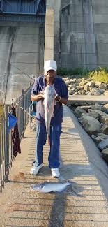 Nathaniel Wheaton Jr. Obituary