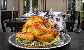 Publix christmas meal / trythis ordering a publix. 22 Places Where You Can Get Thanksgiving Dinner To Go In 2020 Order In Advance Atlanta On The Cheap