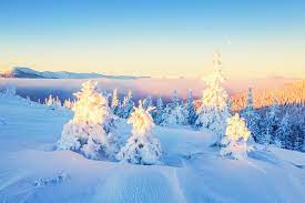 We did not find results for: My Winter Hd Wallpapers New Tab Theme Mystart