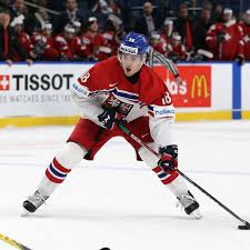 That wasn't a good feeling. 2018 Nhl Draft Prospect Profile Filip Zadina The Cannon