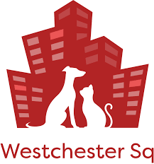 Register and grow your business with findopen uk. Vet Near Me Bronx Veterinary Center Webster Avenue Bronx Ny