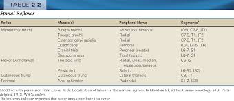 Image result for Neurologic Lesion Localization