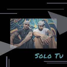 Se trata de una opción que aparece apenas abres la aplicación. Solo Tu Song By Aldeanos Spotify