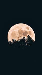 Download wallpapers moon for desktop and mobile in hd, 4k and 8k resolution. Moon Iphone 8 7 6s 6 For Parallax Wallpapers Hd Desktop Backgrounds 938x1668 Images And Pictures
