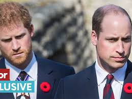 Hidden reason Prince William 'cut ties' with Prince Harry revealed by  expert