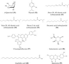 Image result for Cissampelos torulosa