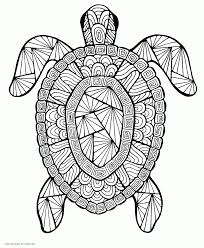 Baby turtle coloring pages are a fun way for kids of all ages to develop creativity, focus, motor skills and color recognition. Turtle Free Coloring Page Coloring Pages Printable Com