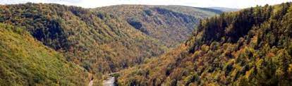 Check spelling or type a new query. Campground Details Colton Point State Park Pa Pennsylvania State Parks