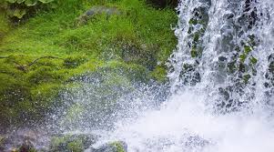 Image result for images jesus living water