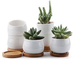 Flower pots,6 inch succulent pots with drinage,indoor round planter pots with saucer,white cactus planters with hole,outdoor graden pots 4 pack. Pin On Plant Babies