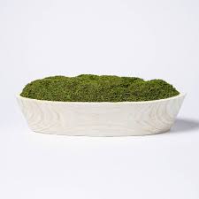 Save up to 10% when you buy more. 5 X 7 Artificial Moss Wood Plant Arrangement Threshold Designed With Studio Mcgee Target