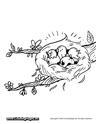Baby bird coloring pages getcoloringpages com free bird nest and egg coloring page thelittleladybird com bird and her baby live in nest coloring pages. Nest Coloring Page Coloring Home