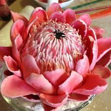 Edible Protea Flower Made Of Fondant By Penni Brown