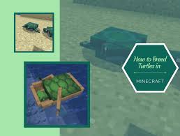 Find turtle eggs first, you need to find turtle eggs. How To Breed Turtles In Minecraft