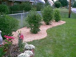 Landscape Along Chain Link Fence Greenery Pinterest Landscaping Along Fence Fence Landscaping Fence Plants