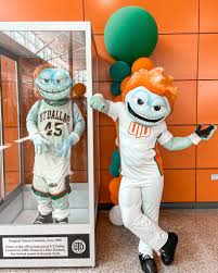Temoc on X: You can never be lonely if you enjoy your own company. 😁😆😜  utdallas comets whoosh mascotlife t.coGxVpsXBE8K  X