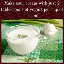 How To Make Sour Cream With Yogurt Farming My Backyard Make Sour Cream Sour Cream Substitute Sour Cream