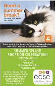 The pet adoption league's pets on parade. Petsmart Summer Splash Easel Animal Rescue League Pet Adoptions