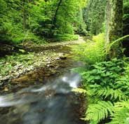 St Gallen Suche St Gallen Suchebar St Gallen St Gallen Suche Verband Der Schweizerischen Hochschulstudierende Wanderwege Sachsische Schweiz Bilder