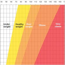 Judicious Weight Chart Photos Steel Plate Weight Chart Free