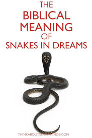 The Biblical Meaning Of Snakes In Dreams In 2020 Christian Dream Interpretation Bible Meaning Understanding Dreams